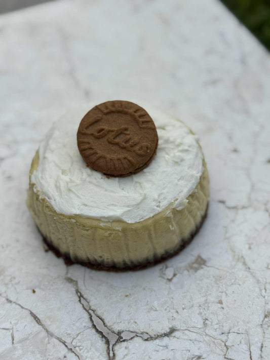 Vanilla Bean 4" Cheesecake